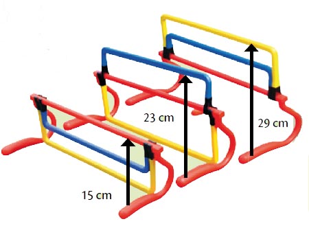 mini haies réglables